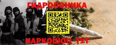 молекула духа Шебекино
