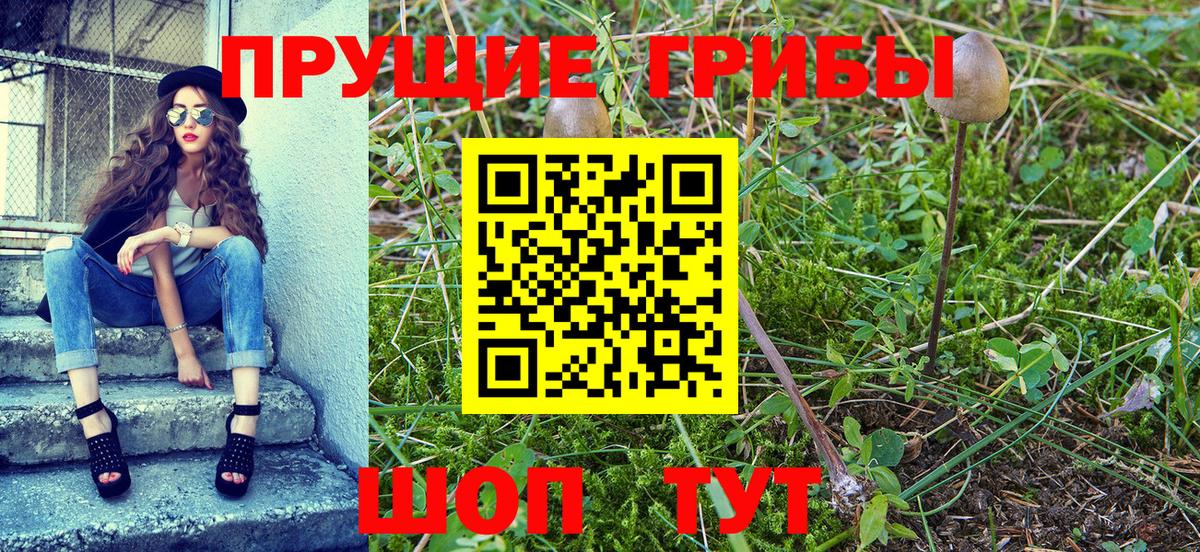 Мурино  Вход с VPN  ТГК  Гашиш  Меф кристаллы  Кокаин 