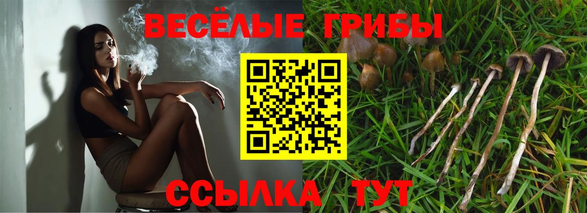 Псилоцибиновые грибы ЛСД Мурино