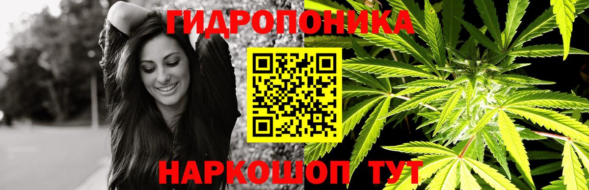 Шишки марихуана семена Мурино